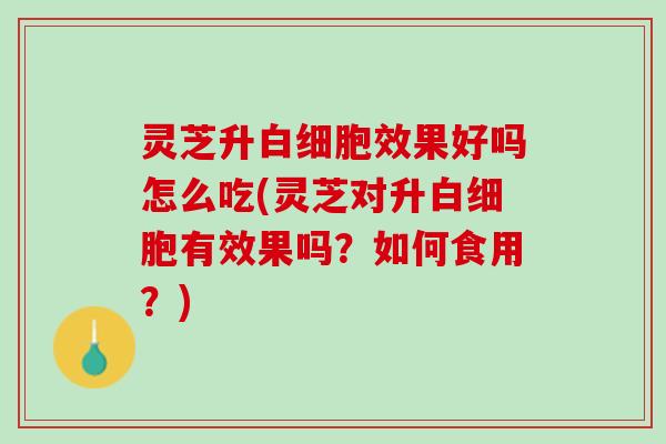 灵芝升白细胞效果好吗怎么吃(灵芝对升白细胞有效果吗？如何食用？)