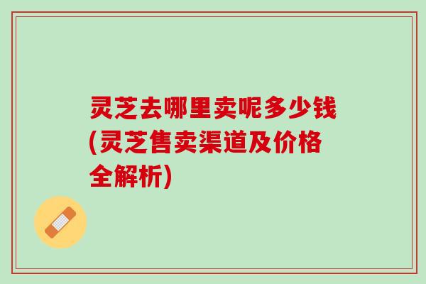 灵芝去哪里卖呢多少钱(灵芝售卖渠道及价格全解析)