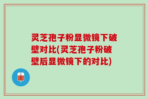 灵芝孢子粉显微镜下破壁对比(灵芝孢子粉破壁后显微镜下的对比)