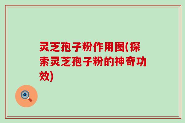 灵芝孢子粉作用图(探索灵芝孢子粉的神奇功效)