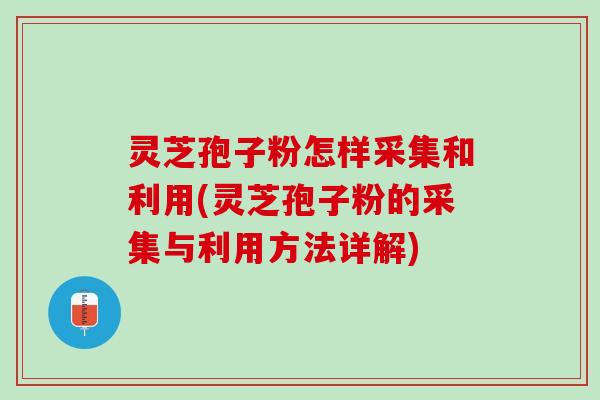 灵芝孢子粉怎样采集和利用(灵芝孢子粉的采集与利用方法详解)