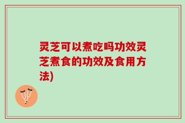灵芝可以煮吃吗功效灵芝煮食的功效及食用方法)
