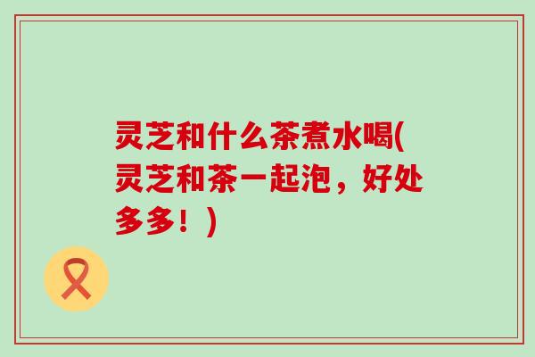 灵芝和什么茶煮水喝(灵芝和茶一起泡，好处多多！)