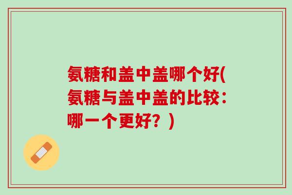 氨糖和盖中盖哪个好(氨糖与盖中盖的比较：哪一个更好？)