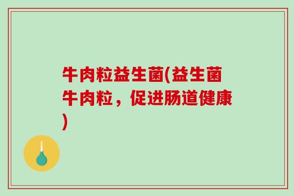 牛肉粒益生菌(益生菌牛肉粒，促进肠道健康)