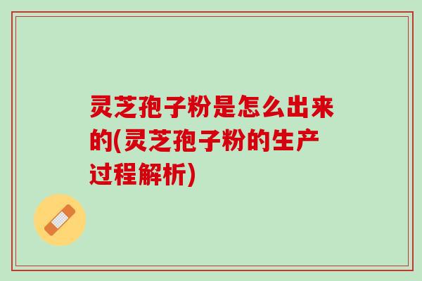 灵芝孢子粉是怎么出来的(灵芝孢子粉的生产过程解析)