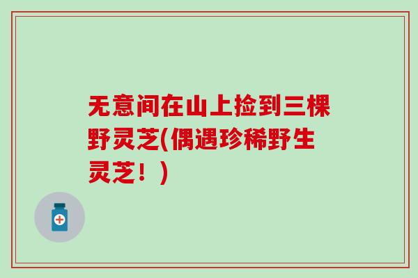无意间在山上捡到三棵野灵芝(偶遇珍稀野生灵芝！)