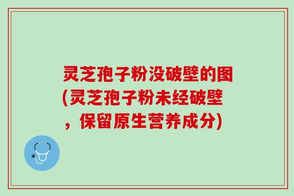 灵芝孢子粉没破壁的图(灵芝孢子粉未经破壁，保留原生营养成分)