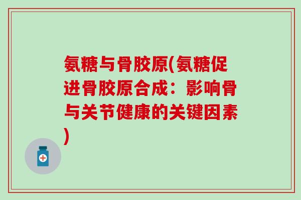 氨糖与骨胶原(氨糖促进骨胶原合成：影响骨与关节健康的关键因素)