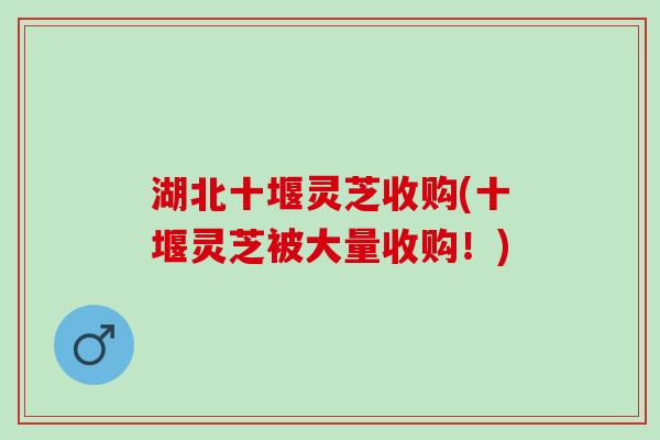湖北十堰灵芝收购(十堰灵芝被大量收购！)