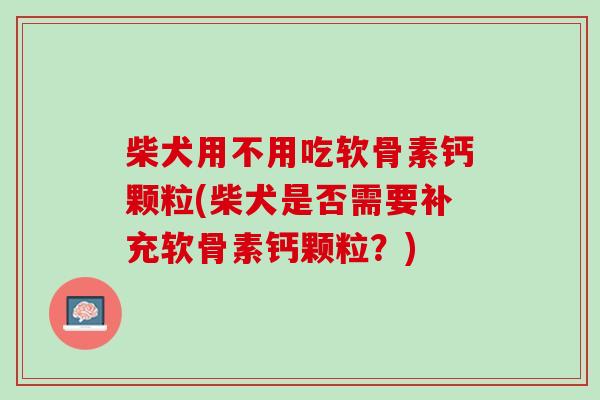 柴犬用不用吃软骨素钙颗粒(柴犬是否需要补充软骨素钙颗粒？)