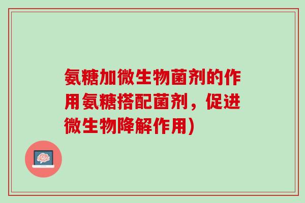 氨糖加微生物菌剂的作用氨糖搭配菌剂,促进微生物降解作用) 氨糖加微生物菌剂的作用氨糖搭配菌剂,促进微生物降解作用)