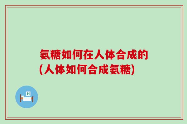 氨糖如何在人体合成的(人体如何合成氨糖)
