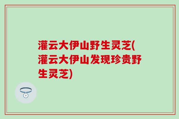 灌云大伊山野生灵芝(灌云大伊山发现珍贵野生灵芝)