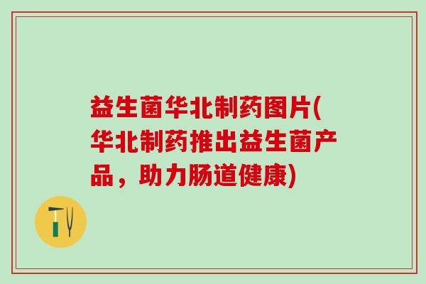 益生菌华北制药图片(华北制药推出益生菌产品，助力肠道健康)