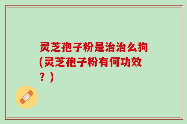 灵芝孢子粉是治治么狗(灵芝孢子粉有何功效？)