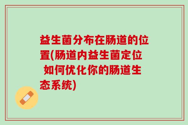 益生菌分布在肠道的位置(肠道内益生菌定位 如何优化你的肠道生态系统)