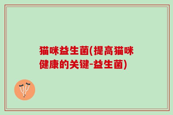 猫咪益生菌(提高猫咪健康的关键-益生菌)