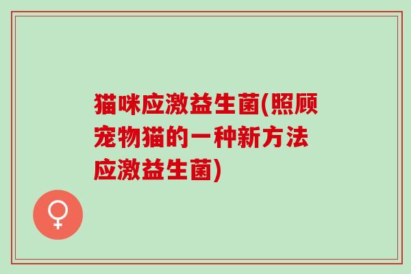 猫咪应激益生菌(照顾宠物猫的一种新方法 应激益生菌)
