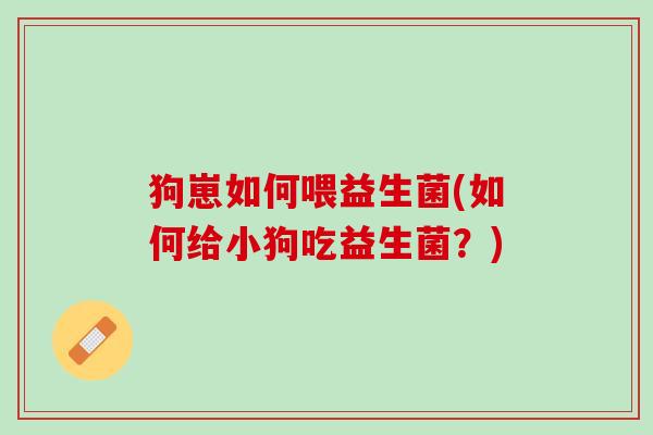 狗崽如何喂益生菌(如何给小狗吃益生菌？)