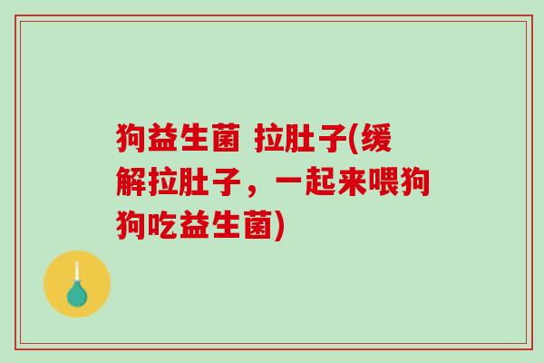 狗益生菌 拉肚子(缓解拉肚子，一起来喂狗狗吃益生菌)