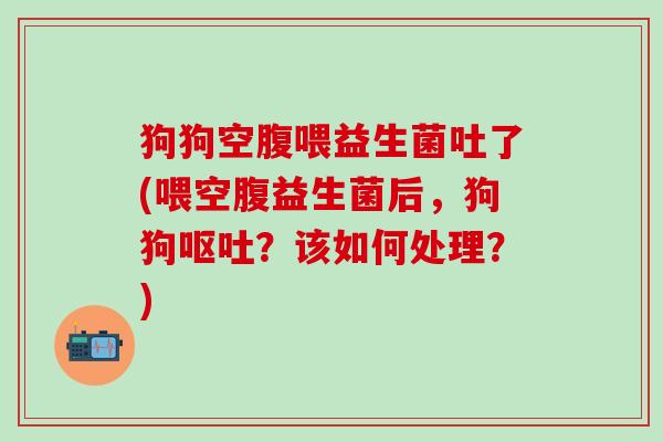 狗狗空腹喂益生菌吐了(喂空腹益生菌后，狗狗呕吐？该如何处理？)