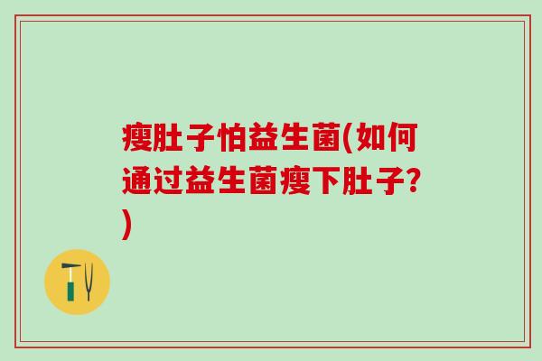 瘦肚子怕益生菌(如何通过益生菌瘦下肚子？)