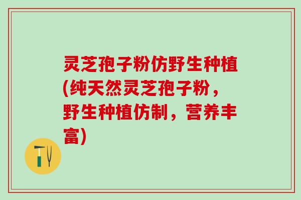 灵芝孢子粉仿野生种植(纯天然灵芝孢子粉，野生种植仿制，营养丰富)