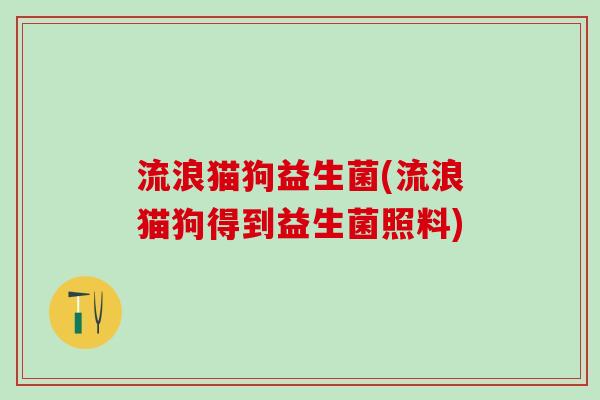 流浪猫狗益生菌(流浪猫狗得到益生菌照料) 流浪猫狗益生菌(流浪猫狗得到益生菌照料)