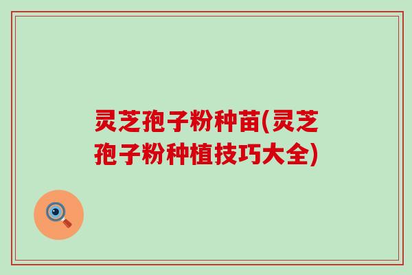 灵芝孢子粉种苗(灵芝孢子粉种植技巧大全)