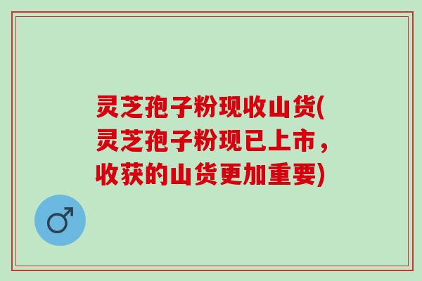 灵芝孢子粉现收山货(灵芝孢子粉现已上市，收获的山货更加重要)