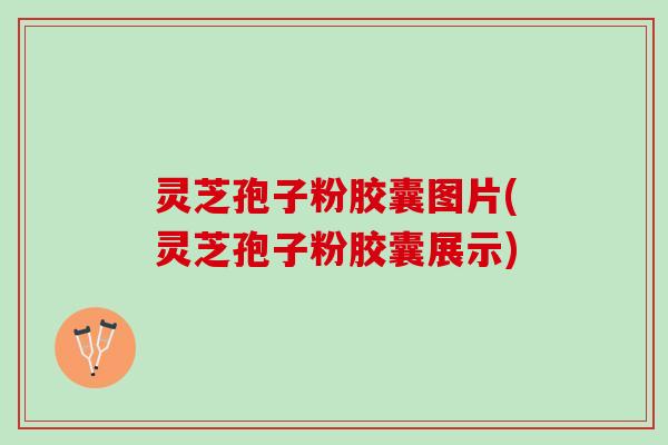 灵芝孢子粉胶囊图片(灵芝孢子粉胶囊展示)