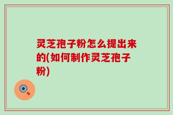 灵芝孢子粉怎么提出来的(如何制作灵芝孢子粉)