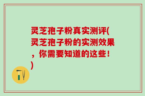 灵芝孢子粉真实测评(灵芝孢子粉的实测效果，你需要知道的这些！)