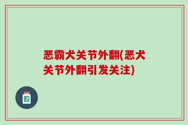 恶霸犬关节外翻(恶犬关节外翻引发关注)