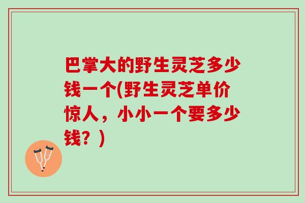 巴掌大的野生灵芝多少钱一个(野生灵芝单价惊人，小小一个要多少钱？)