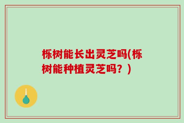 栎树能长出灵芝吗(栎树能种植灵芝吗？)