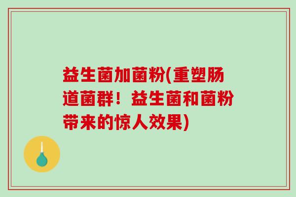 益生菌加菌粉(重塑肠道菌群！益生菌和菌粉带来的惊人效果)