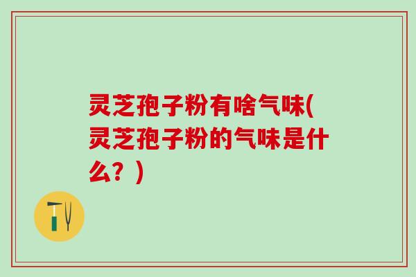 灵芝孢子粉有啥气味(灵芝孢子粉的气味是什么？)