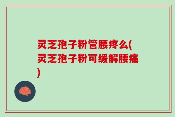 灵芝孢子粉管腰疼么(灵芝孢子粉可缓解腰痛)