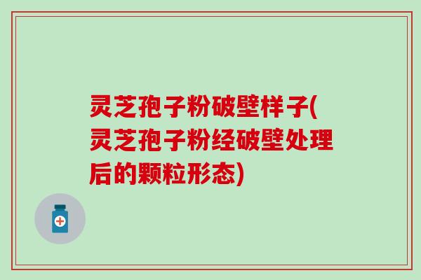 灵芝孢子粉破壁样子(灵芝孢子粉经破壁处理后的颗粒形态)