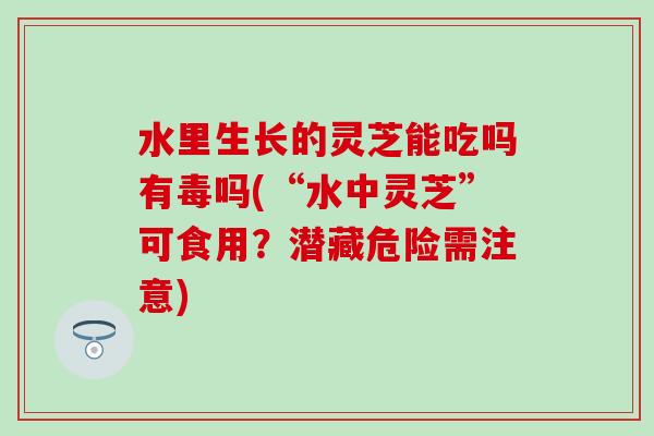 水里生长的灵芝能吃吗有毒吗(“水中灵芝”可食用？潜藏危险需注意)