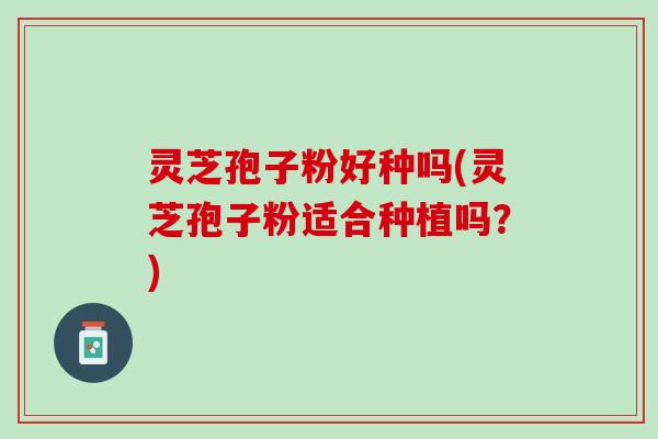 灵芝孢子粉好种吗(灵芝孢子粉适合种植吗？)
