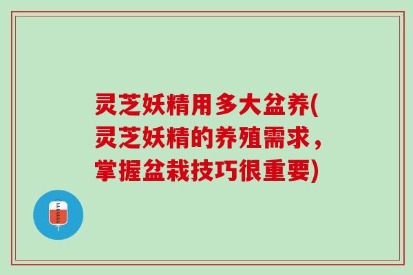 灵芝妖精用多大盆养(灵芝妖精的养殖需求,掌握盆栽技巧很重要) 灵芝妖精用多大盆养(灵芝妖精的养殖需求,掌握盆栽技巧很重要)