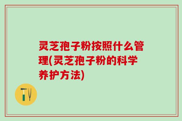 灵芝孢子粉按照什么管理(灵芝孢子粉的科学养护方法)