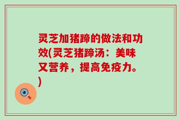 灵芝加猪蹄的做法和功效(灵芝猪蹄汤：美味又营养，提高免疫力。)