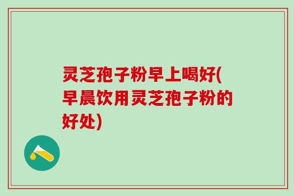 灵芝孢子粉早上喝好(早晨饮用灵芝孢子粉的好处)
