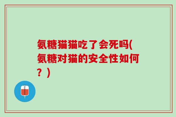 氨糖猫猫吃了会死吗(氨糖对猫的安全性如何？)