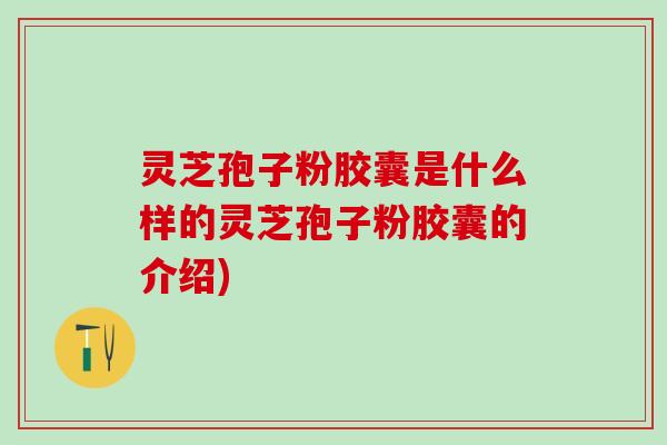 灵芝孢子粉胶囊是什么样的灵芝孢子粉胶囊的介绍)