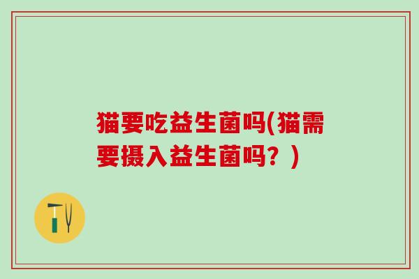 猫要吃益生菌吗(猫需要摄入益生菌吗?) 猫要吃益生菌吗(猫需要摄入益生菌吗?)